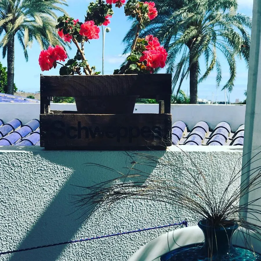 B&B Villa Michieli Marbella 0*,