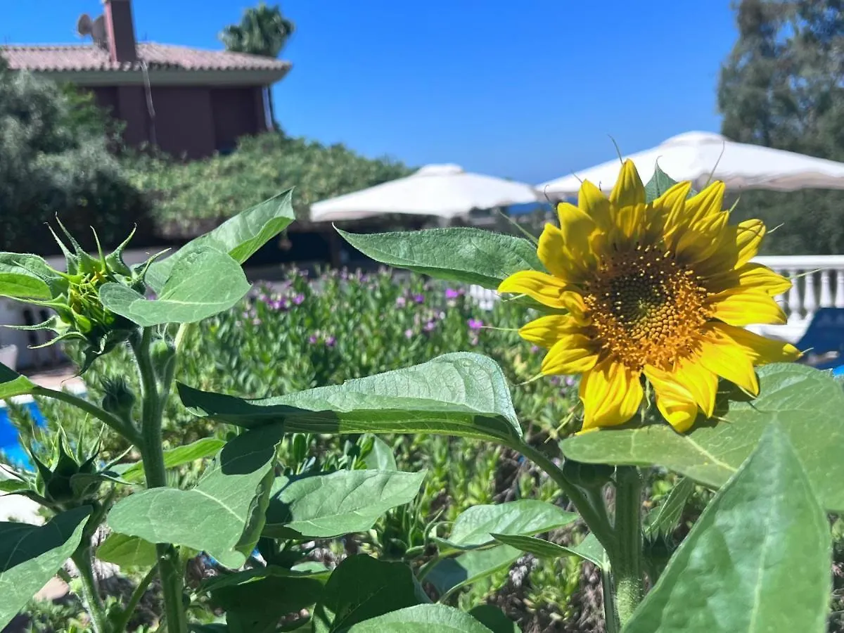 B&B Villa Michieli Marbella Spain